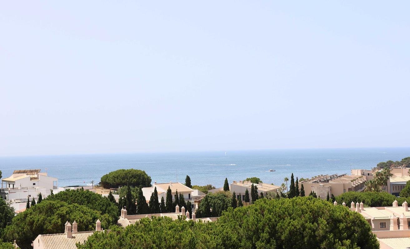 Vista